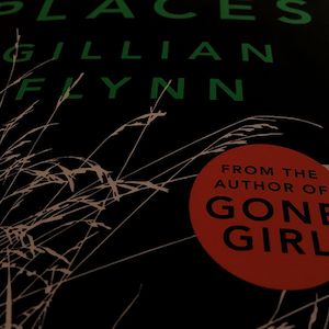 Schön von außen: Dark Places von Gillian Flynn